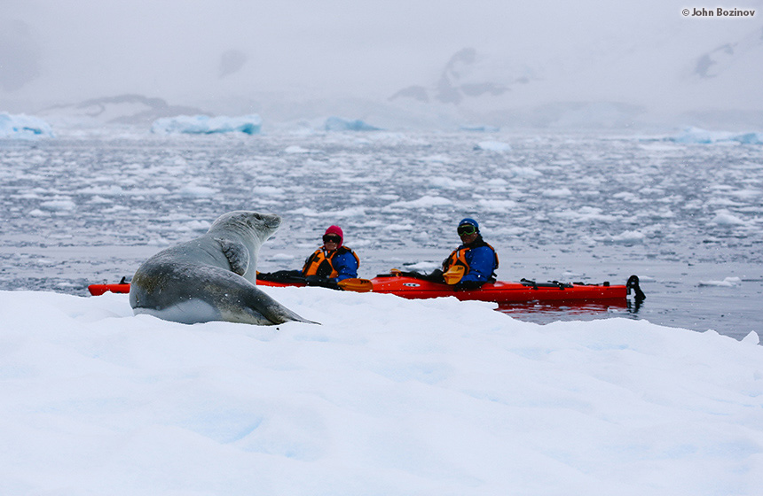 Antarctic_2020_11_Abenteuer und Wildtiere